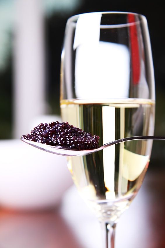 A Guide on Caviar and Drink Pairings: The best combination of flavors