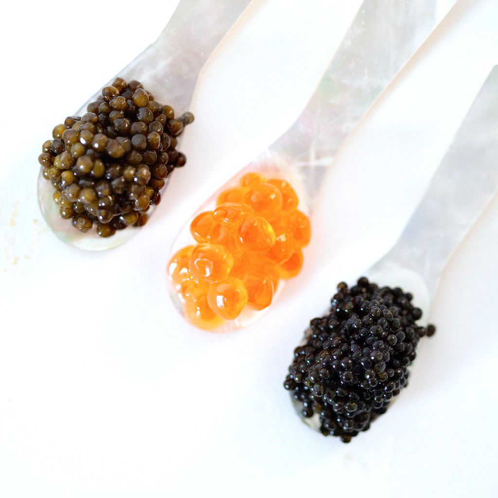 The difference between Caviar and Fish Roe