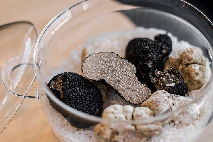 Truffles knowledge: Storing Truffles Properly